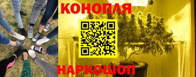 сатива Ставрополь