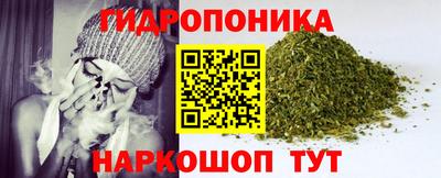 мдма Сланцы
