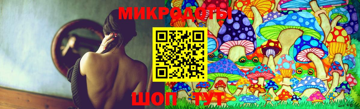 Галлюциногенные грибы Psilocybe  как найти закладки  Ноябрьск  Вход с VPN 